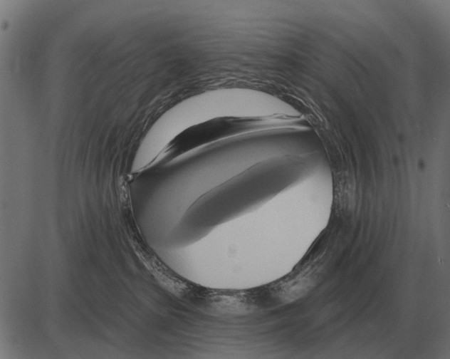 X0000084020285200703161747