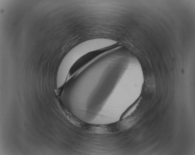 X0000084020286200703161747