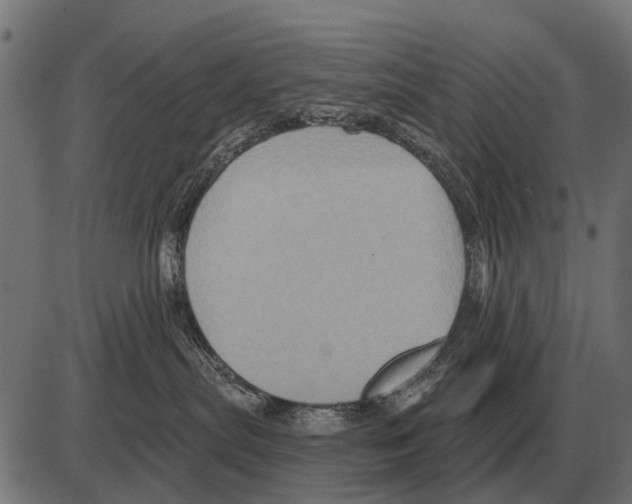 X0000084020287200703161747