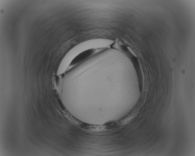 X0000084020288200703161747