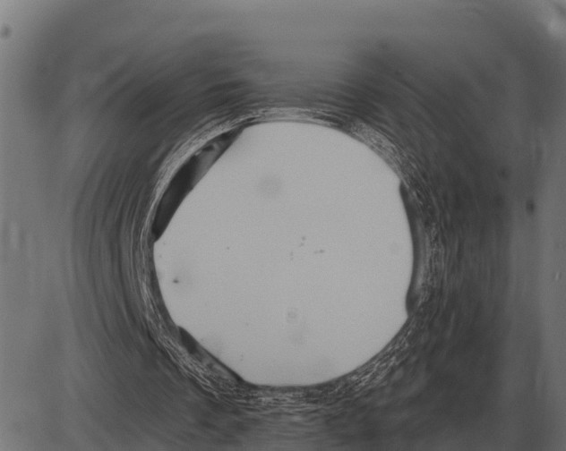 X0000084020289200703161746