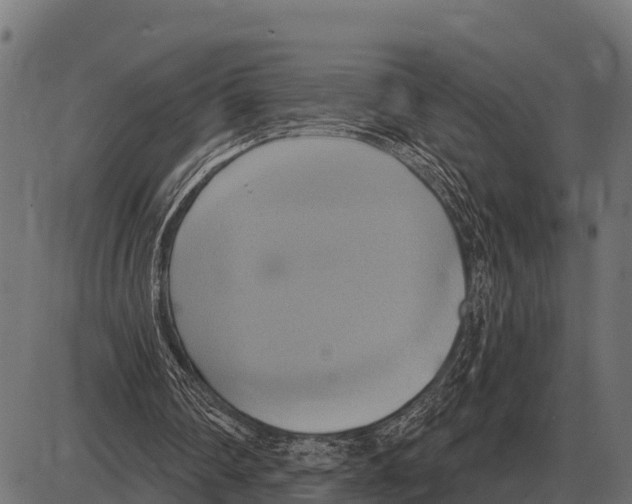 X0000084020290200703161746