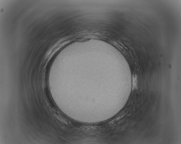 X0000084020291200703161746