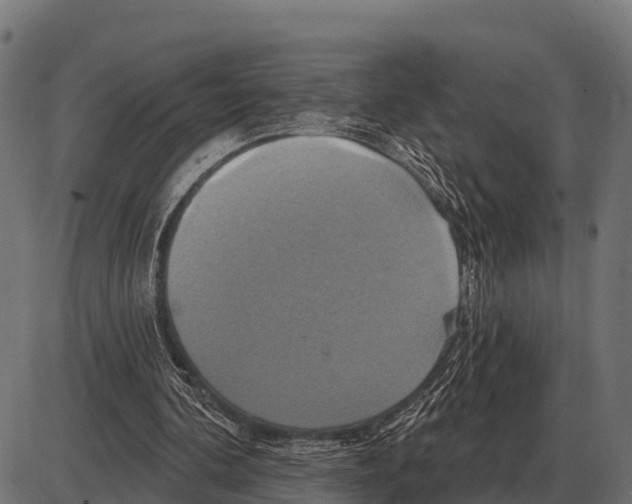 X0000084020292200703161746