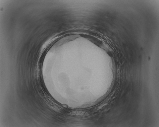 X0000084020294200703161746