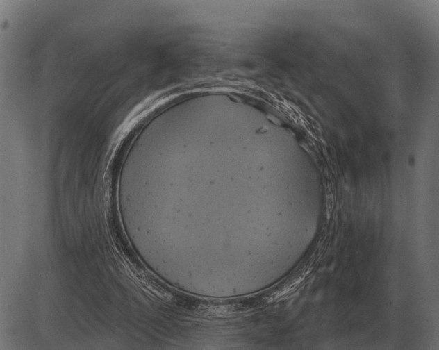 X0000084020295200703161746