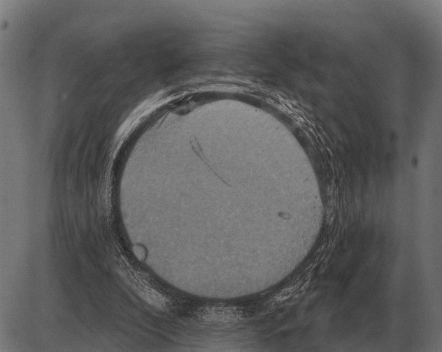 X0000084020296200703161746