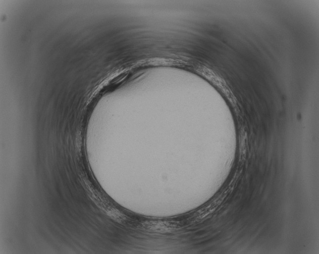 X0000084020297200703161746