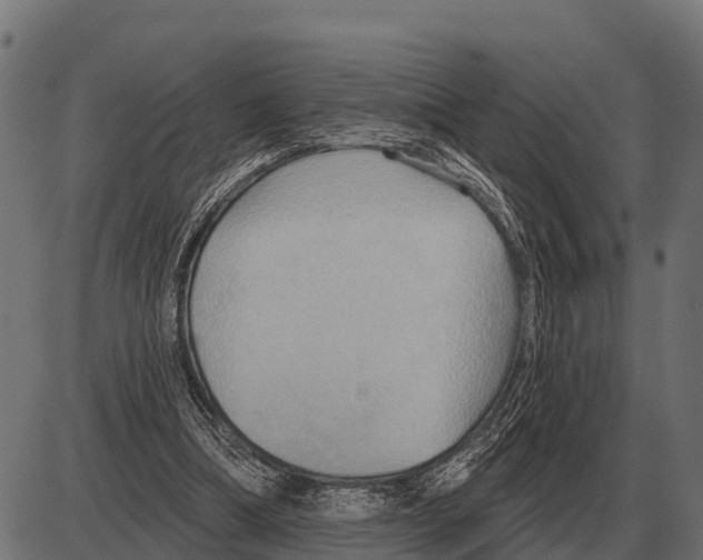 X0000084020298200703161746