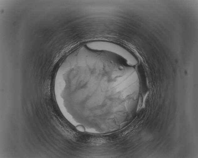 X0000084020299200703161746