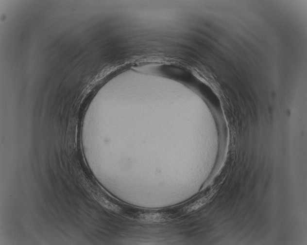 X0000084020301200703161746