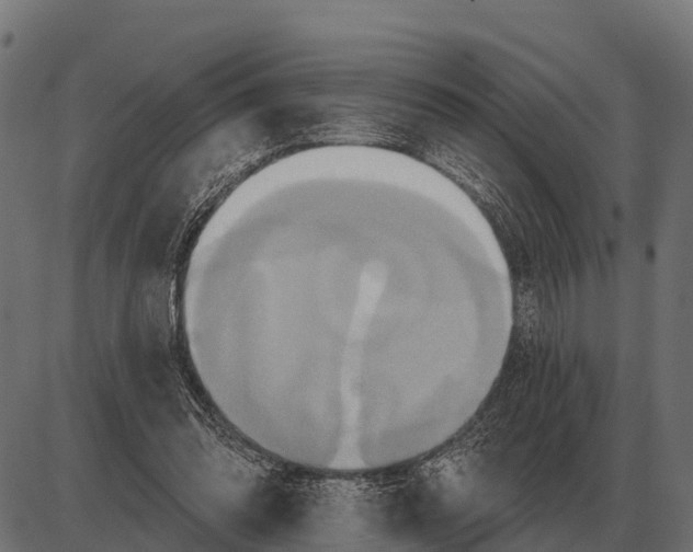 X0000084020302200703161746