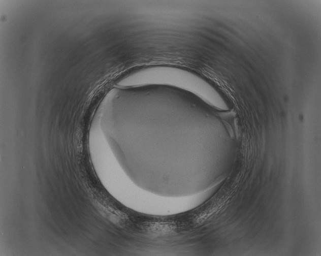 X0000084020303200703161746