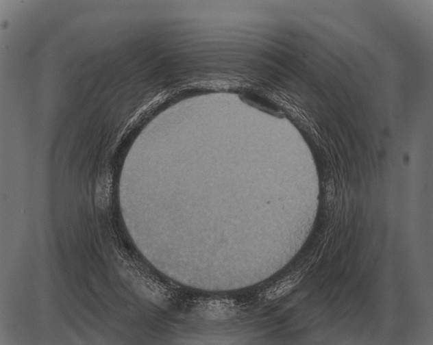 X0000084020304200703161746