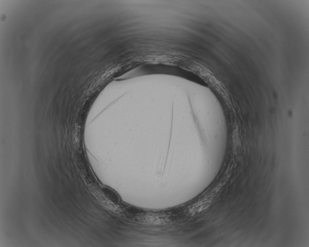 X0000084020305200703161746