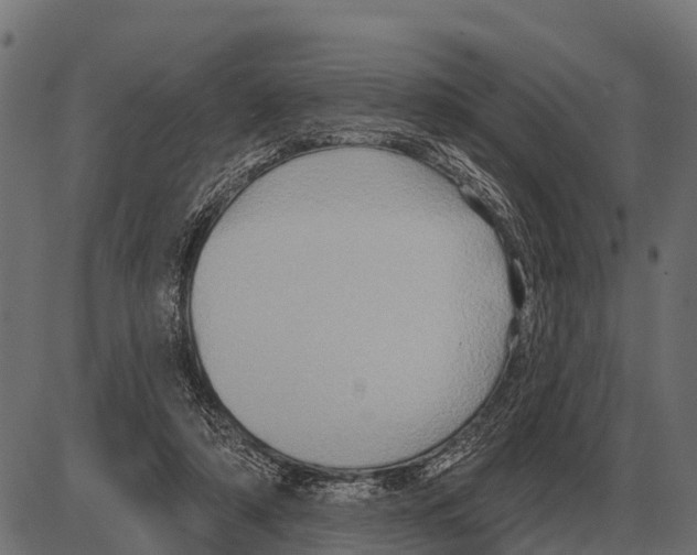 X0000084020306200703161746