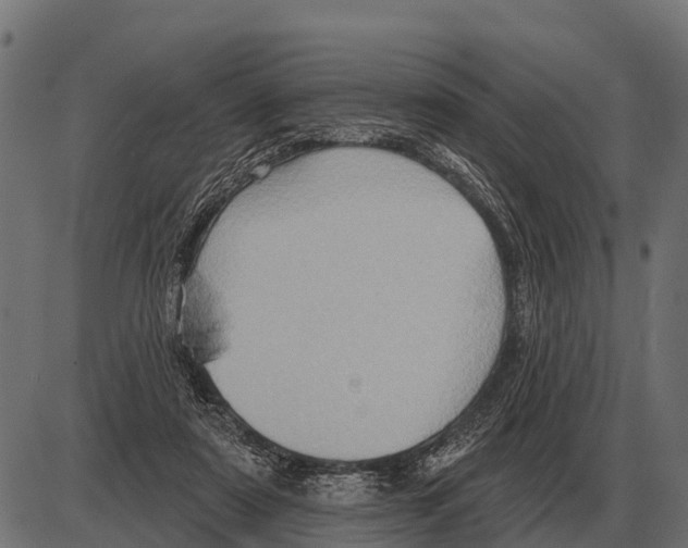 X0000084020307200703161746