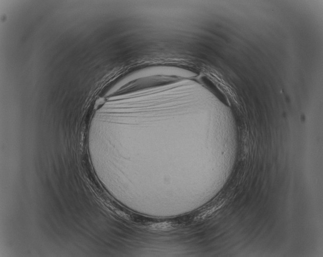 X0000084020309200703161746