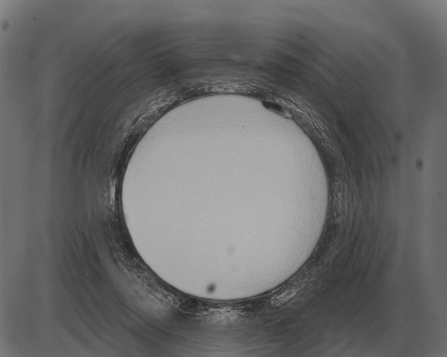 X0000084020310200703161746