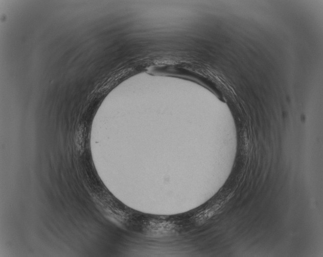 X0000084020311200703161746