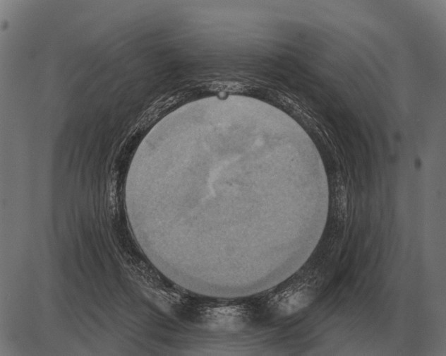 X0000084020312200703161746