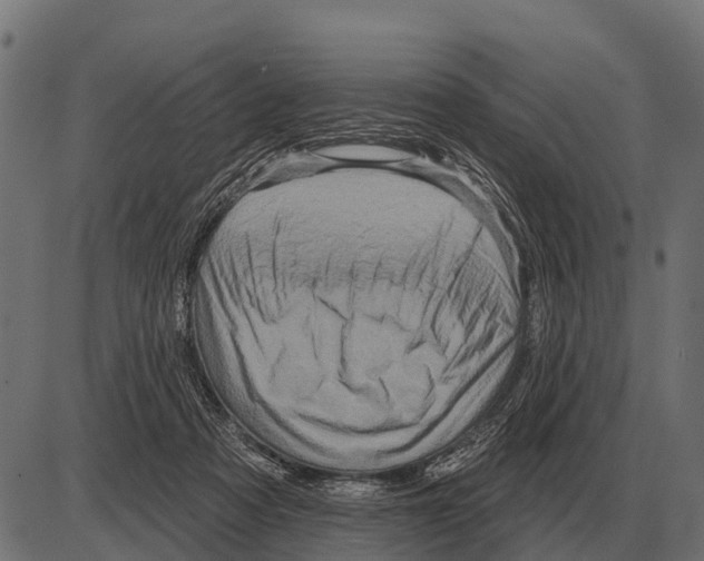 X0000084020313200703161746