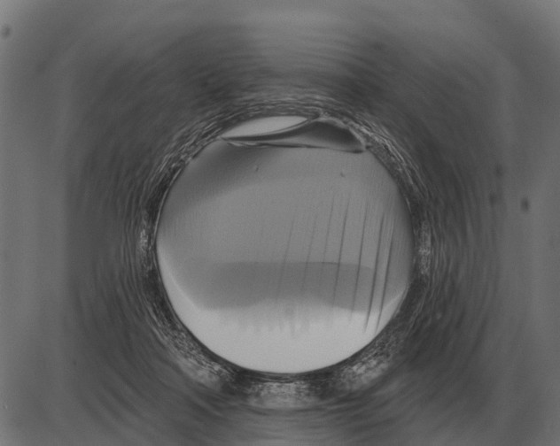 X0000084020314200703161746