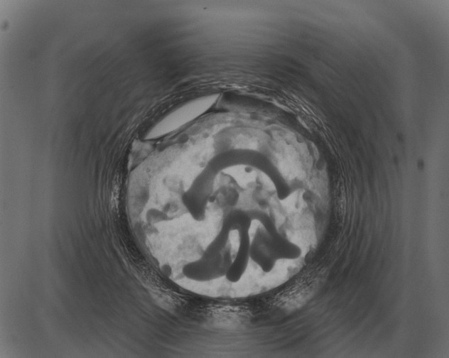 X0000084020315200703161746