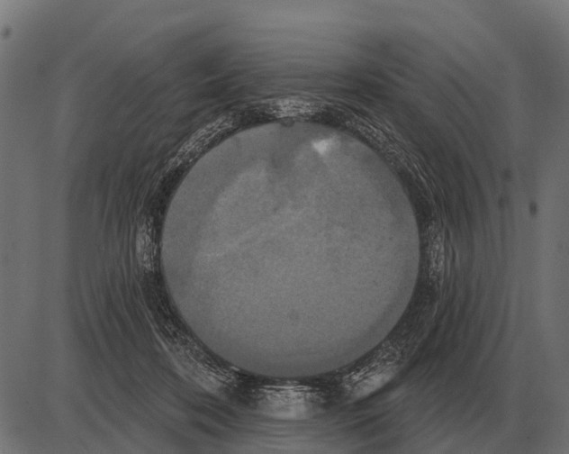 X0000084020316200703161746