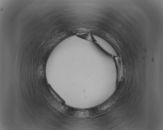 X0000084020317200703161746