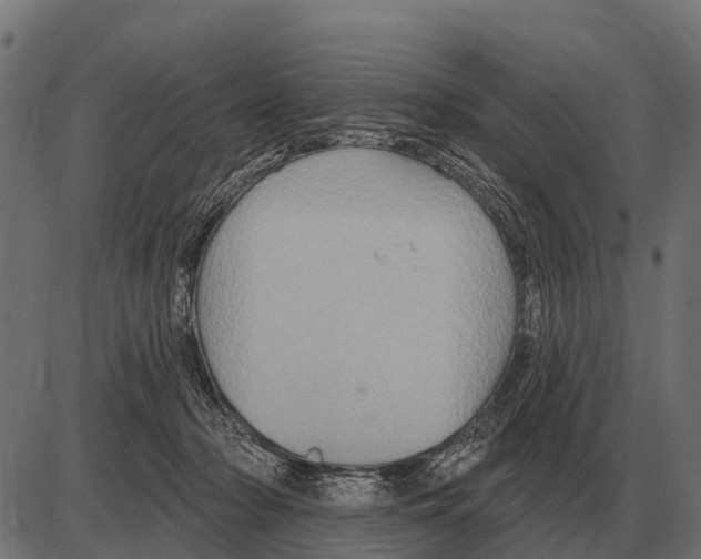 X0000084020318200703161746