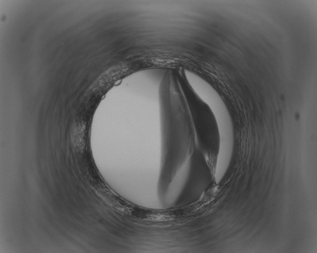 X0000084020319200703161746