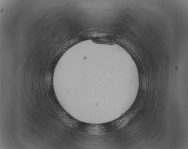 X0000084020321200703161746