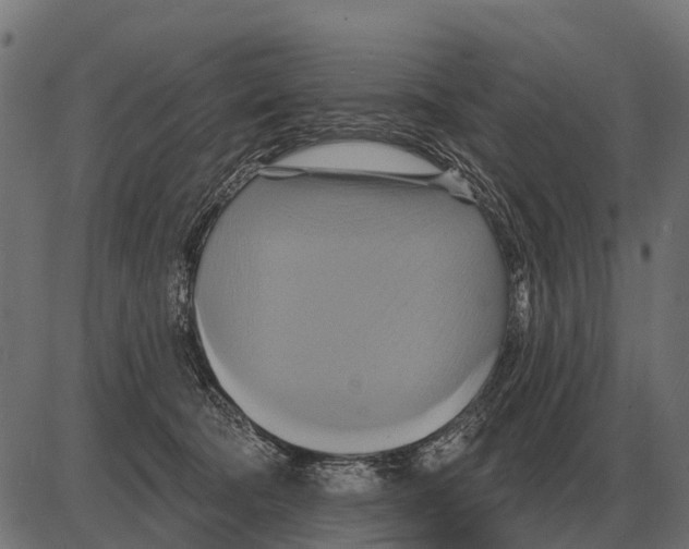 X0000084020322200703161746