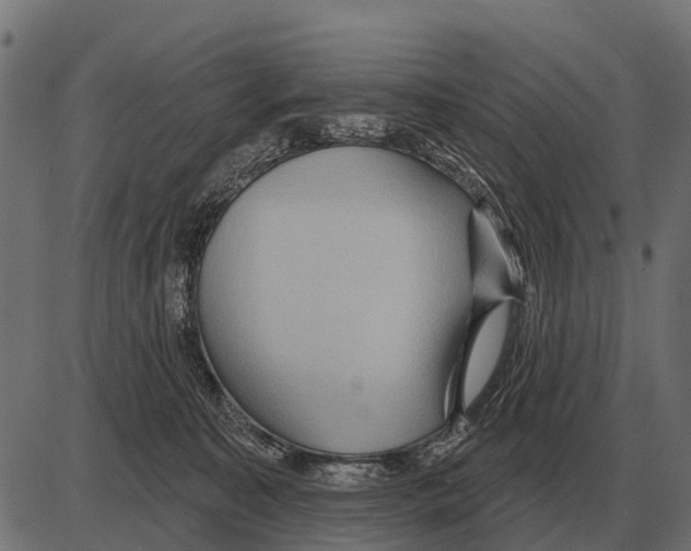 X0000084020323200703161746