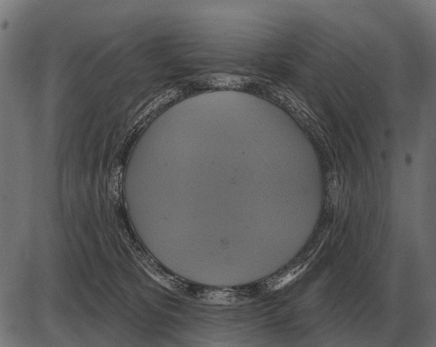 X0000084020325200703161746