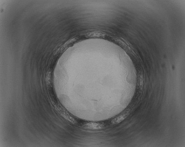 X0000084020326200703161746