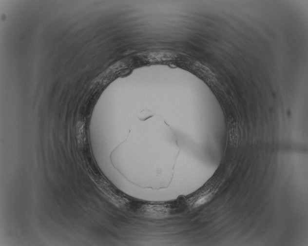 X0000084020327200703161746