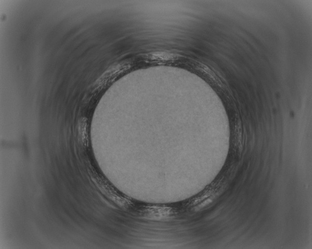 X0000084020328200703161746