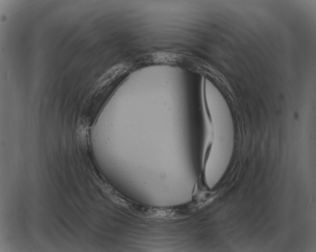 X0000084020329200703161746