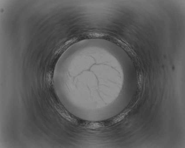 X0000084020330200703161746