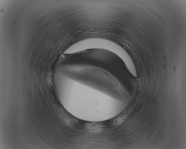 X0000084020331200703161746