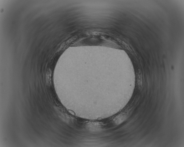 X0000084020332200703161746