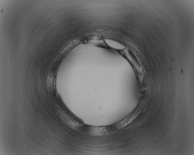 X0000084020333200703161746