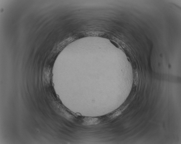 X0000084020334200703161746