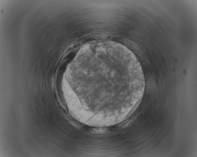 X0000084020335200703161746