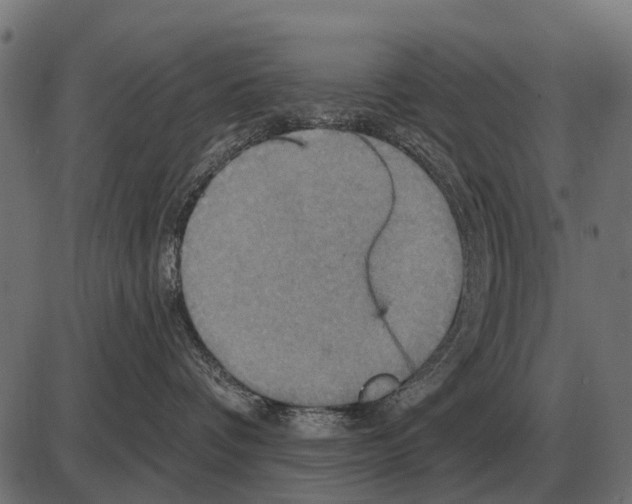 X0000084020336200703161746