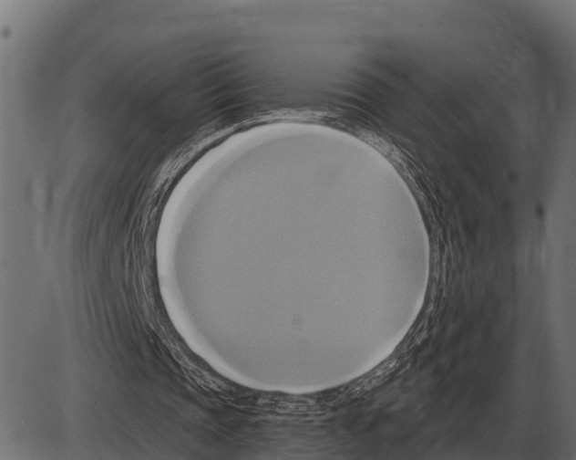 X0000084020337200703161745