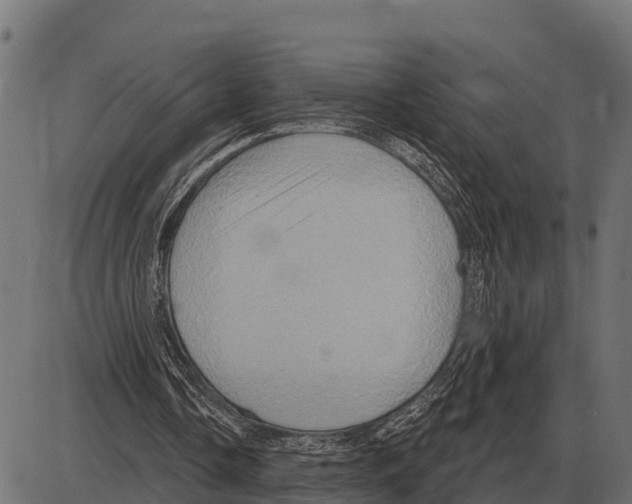 X0000084020338200703161745