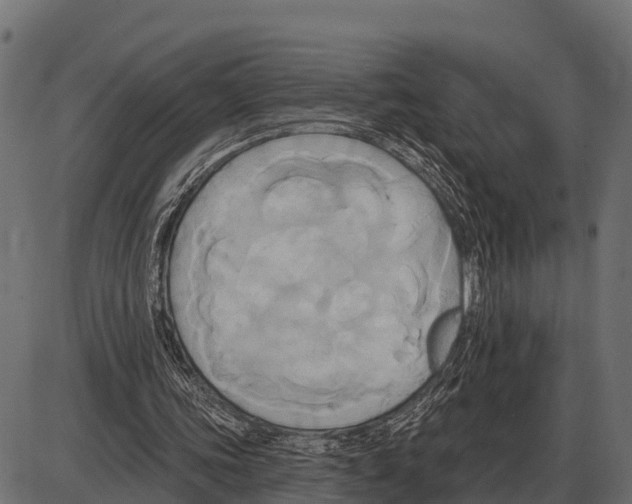 X0000084020339200703161745